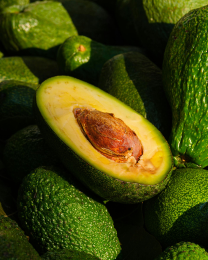 Collagen Restoring Face Cream